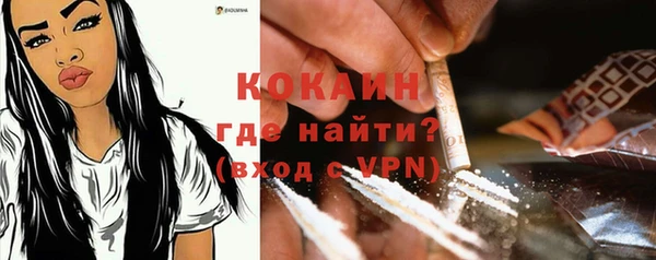 мдпв Мегион