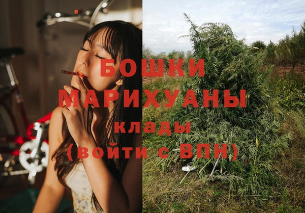 гидра Медногорск