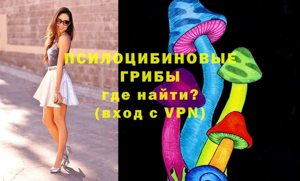 мдпв Мегион