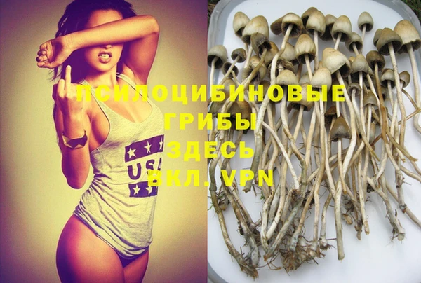 мдпв Мегион