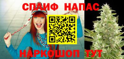 гашик Балахна