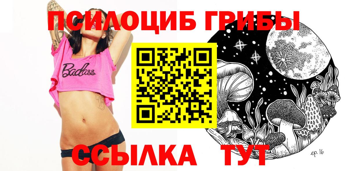Волгодонск  Галлюциногенные грибы MAGIC MUSHROOMS  Вход с VPN  Галлюциногенные грибы Psilocybe 