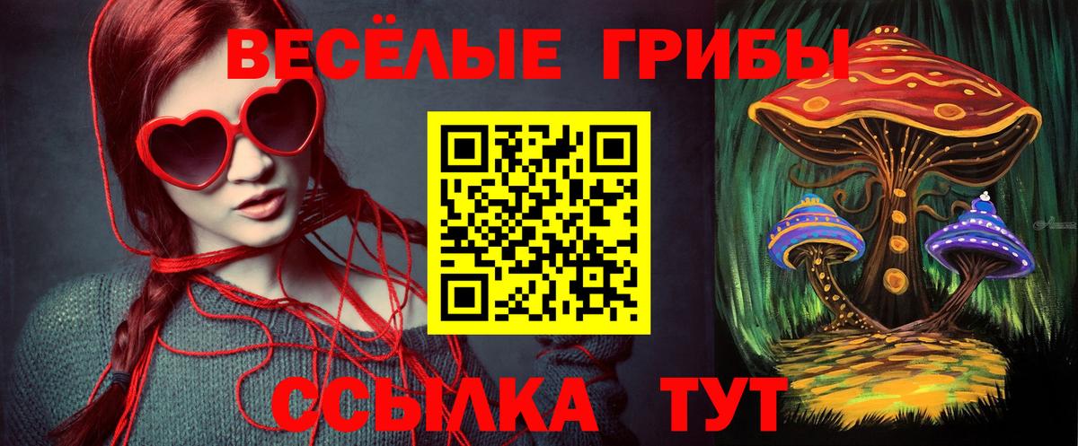 Псилоцибиновые грибы Cubensis  Волгодонск 